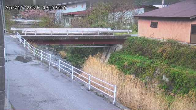 湯河川１2026/04/15 10:00:00