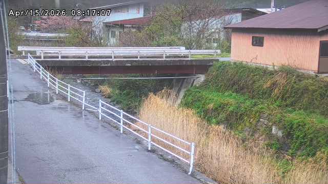 湯河川１2026/04/15 10:00:00