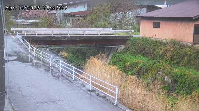 湯河川１2026/04/15 10:00:00