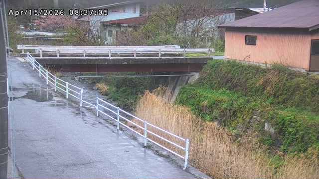 湯河川１2026/04/15 10:00:00