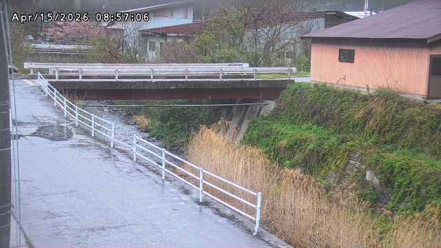 湯河川１2026/04/15 10:00:00