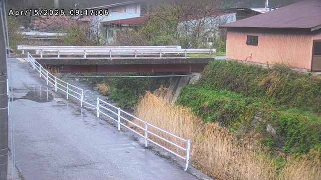 湯河川１2026/04/15 10:00:00