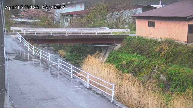 湯河川１2026/04/15 10:00:00