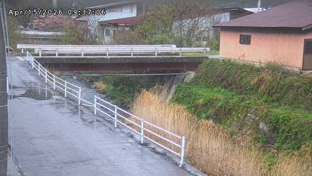湯河川１2026/04/15 10:00:00