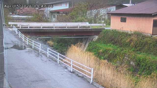 湯河川１2026/04/15 10:00:00