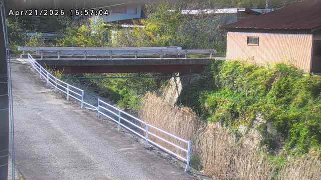 湯河川１2026/04/22 10:40:00