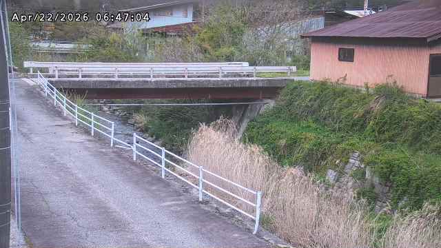 湯河川１2026/04/22 10:40:00