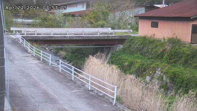 湯河川１2026/04/22 10:40:00