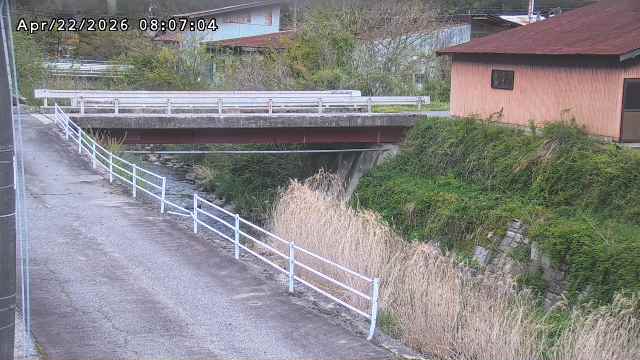 湯河川１2026/04/22 10:40:00