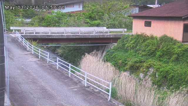 湯河川１2026/05/03 12:50:00