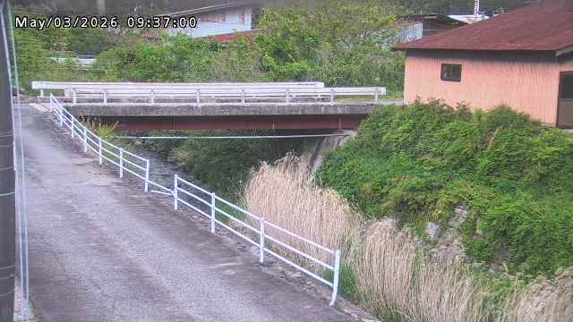 湯河川１2026/05/03 12:50:00