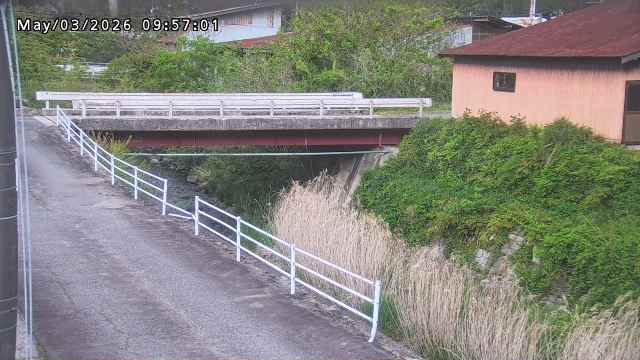 湯河川１2026/05/03 12:50:00