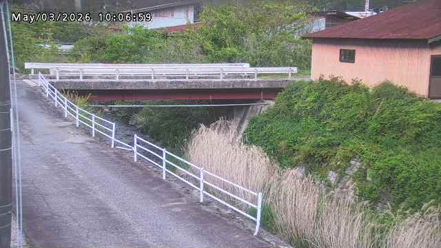 湯河川１2026/05/03 12:50:00
