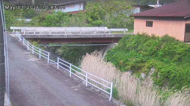 湯河川１2026/05/03 12:50:00