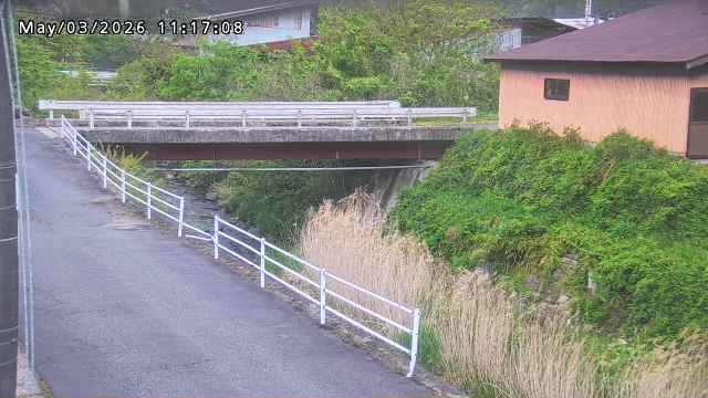 湯河川１2026/05/03 12:50:00