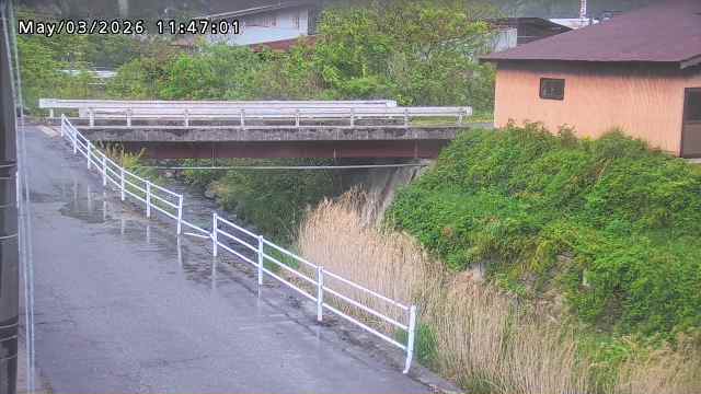 湯河川１2026/05/03 12:50:00