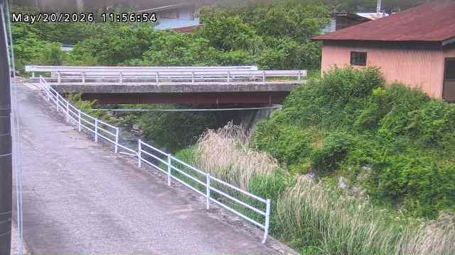 湯河川１2026/05/20 20:30:00