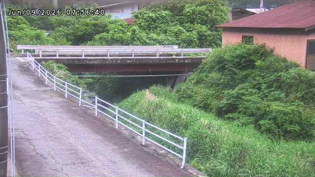 湯河川１2026/06/10 1:10:00