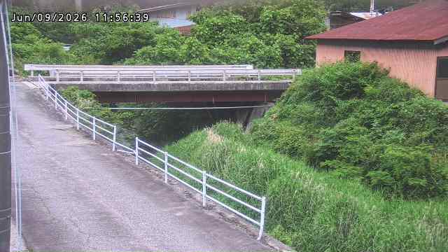 湯河川１2026/06/10 1:10:00