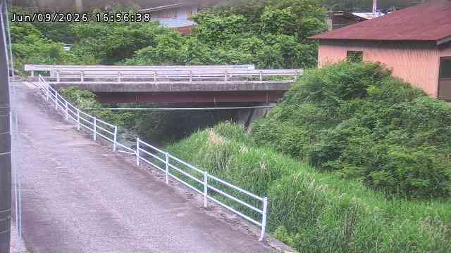 湯河川１2026/06/10 1:10:00