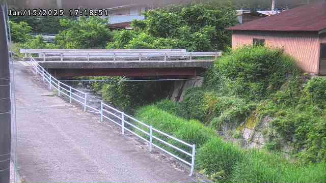 湯河川１2025/06/15 20:20:00