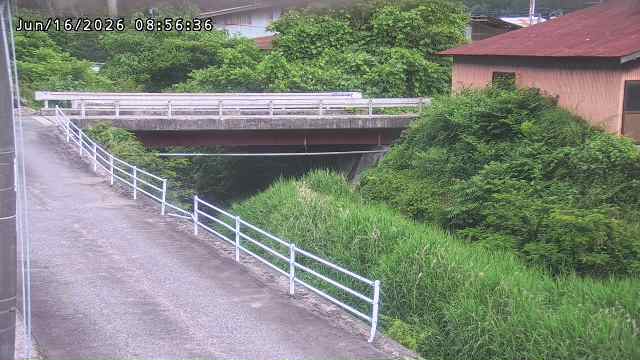 湯河川１2026/06/17 2:20:00