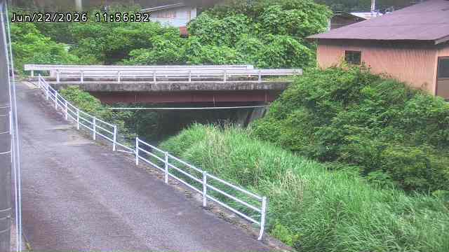 湯河川１2026/06/22 20:50:00
