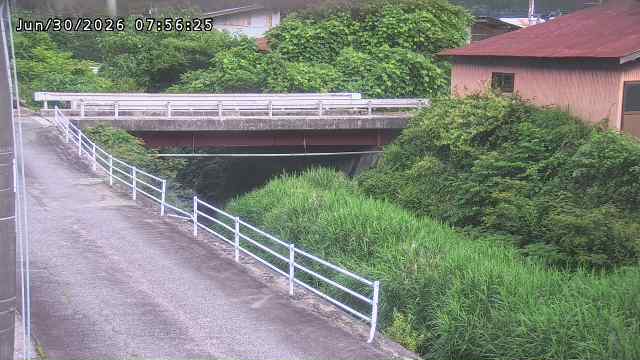 湯河川１2026/07/01 6:00:00