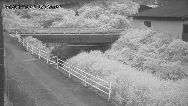 湯河川１2026/07/01 6:00:00