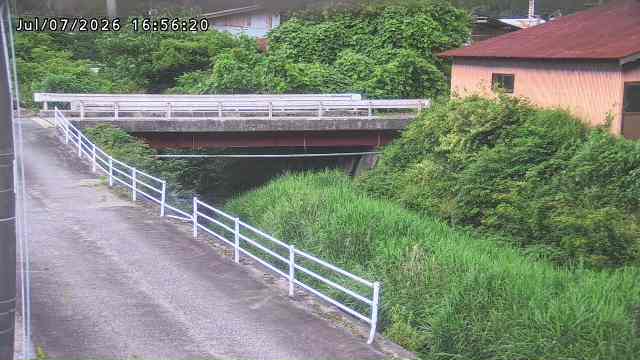 湯河川１2026/07/08 6:30:00