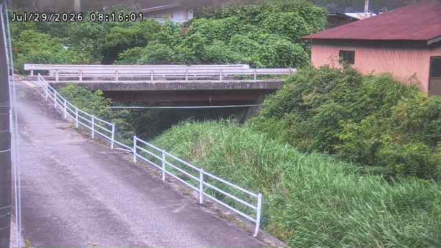 湯河川１2026/07/29 9:40:00