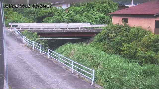 湯河川１2026/07/29 9:40:00