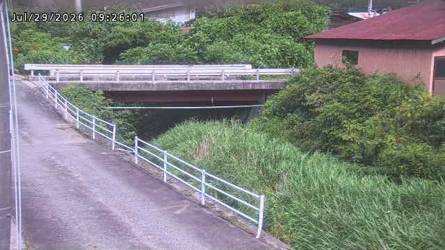 湯河川１2026/07/29 9:40:00