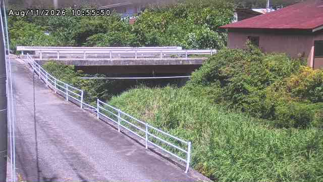 湯河川１2026/08/12 10:10:00