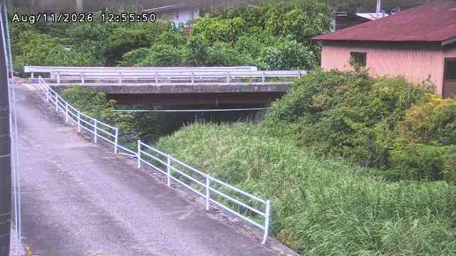 湯河川１2026/08/12 10:10:00