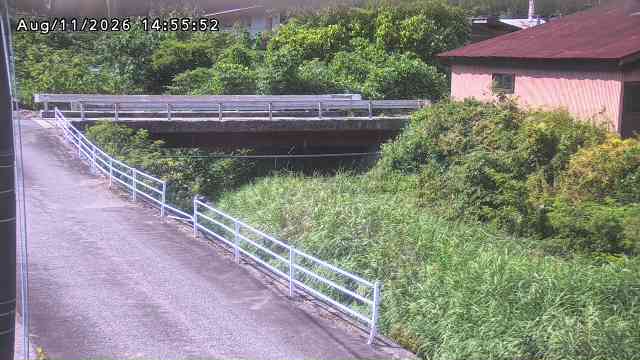 湯河川１2026/08/12 10:10:00