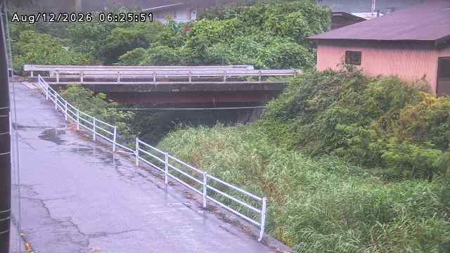 湯河川１2026/08/12 10:10:00