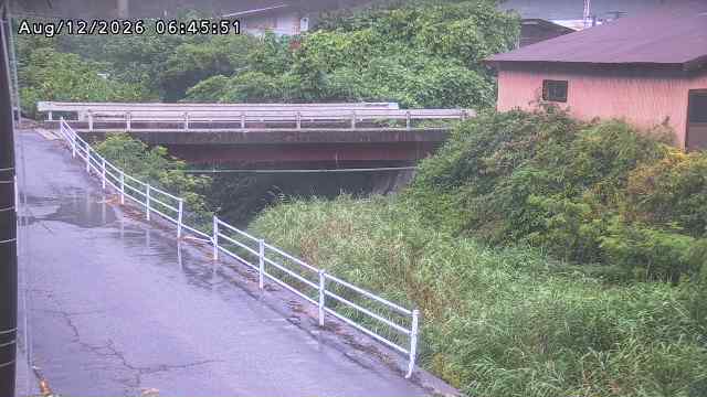 湯河川１2026/08/12 10:10:00
