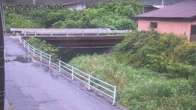 湯河川１2026/08/12 10:10:00