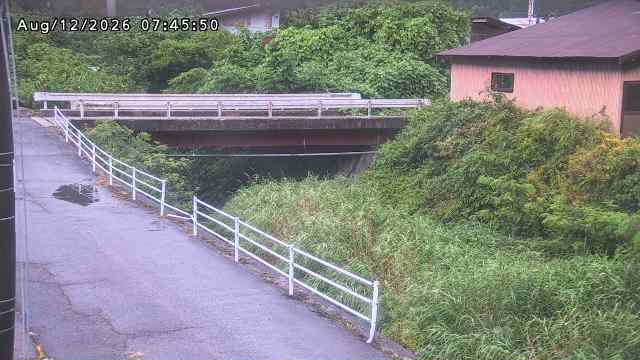 湯河川１2026/08/12 10:10:00