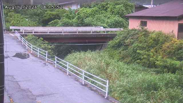 湯河川１2026/08/12 10:10:00