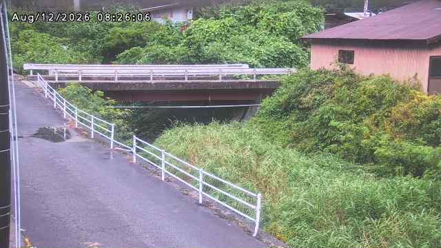湯河川１2026/08/12 10:10:00