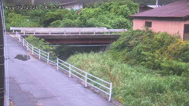 湯河川１2026/08/12 10:10:00