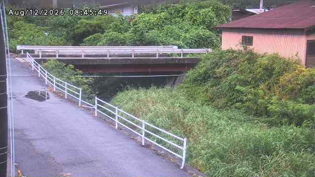 湯河川１2026/08/12 10:10:00