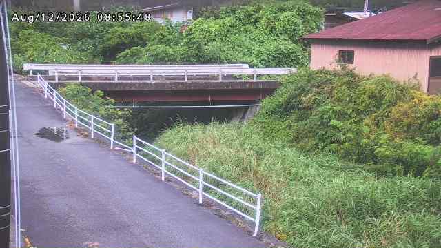 湯河川１2026/08/12 10:10:00