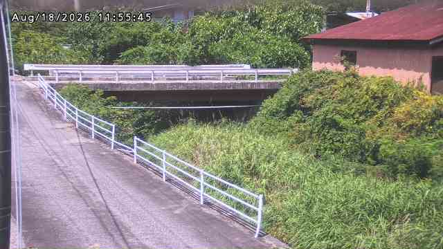 湯河川１2026/08/19 12:30:00