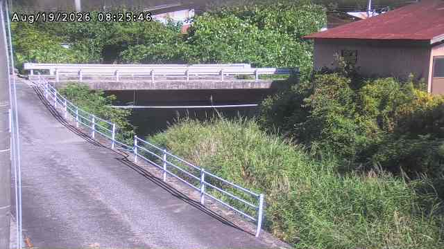 湯河川１2026/08/19 12:30:00