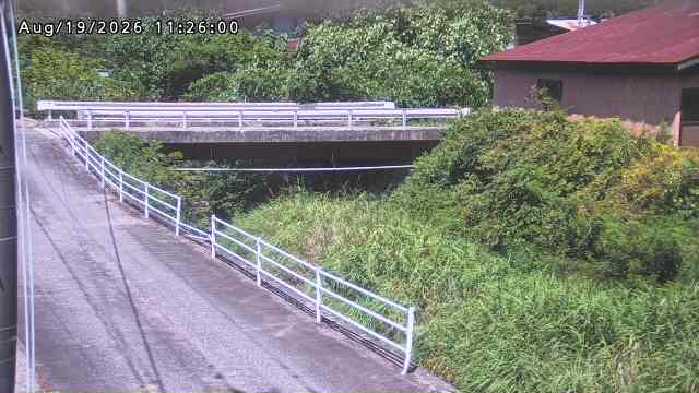 湯河川１2026/08/19 12:30:00
