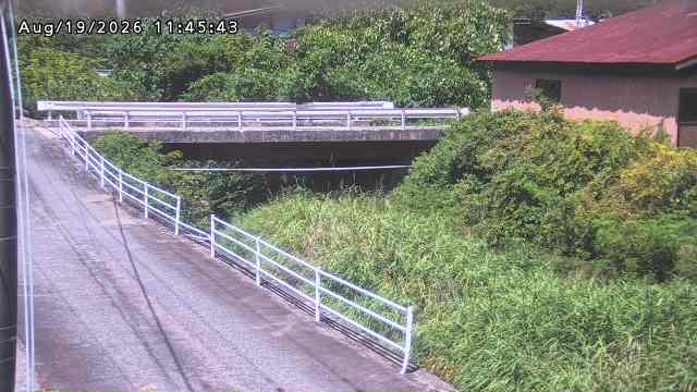 湯河川１2026/08/19 12:30:00