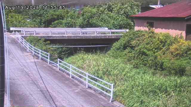 湯河川１2026/08/19 12:30:00